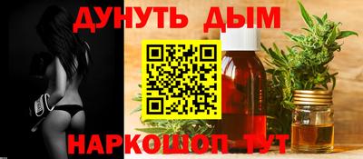 стаф Можга