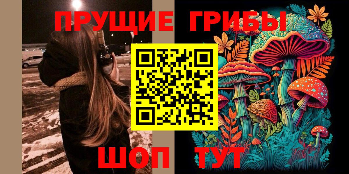 Псилоцибиновые грибы GOLDEN TEACHER  Вход с VPN  Фрязино 